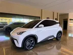 BYD Dolphin Mini
