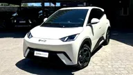 BYD Dolphin Mini - Miniatura 1