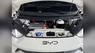 BYD Dolphin Mini - Miniatura 16