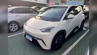 BYD Dolphin Mini - Miniatura 1