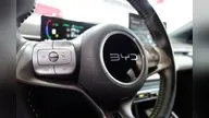 BYD Dolphin Mini - Miniatura 17