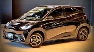 BYD Dolphin Mini - Miniatura 1