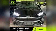 BYD Dolphin Mini - Miniatura 1