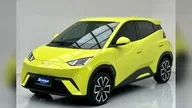 BYD Dolphin Mini - Miniatura 4