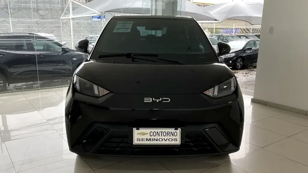 Foto de um byd dolphin mini