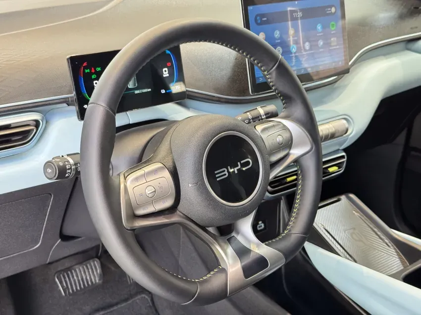 BYD Dolphin Mini - Imagem 18