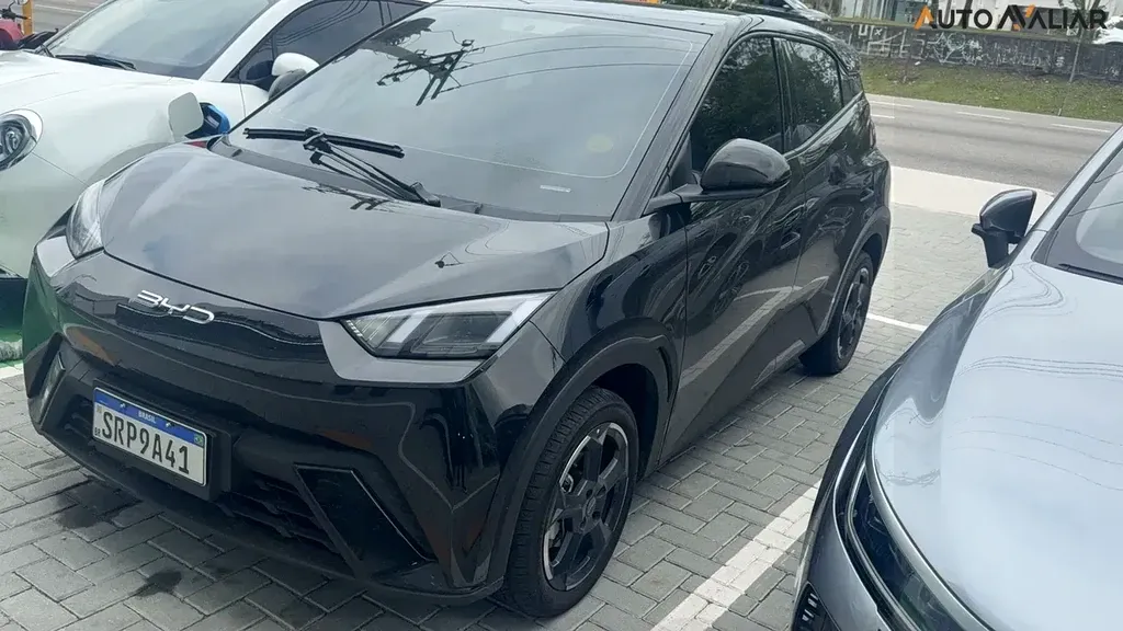 Foto de um byd dolphin mini