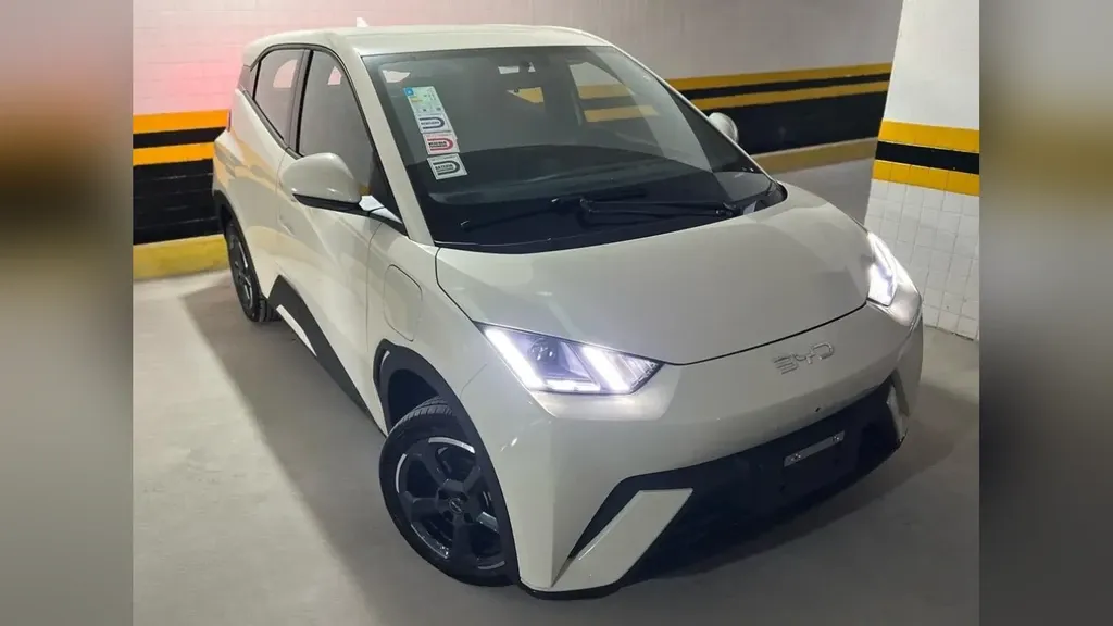 Foto de um byd dolphin mini