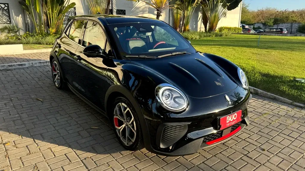 Foto de um gwm ora 03