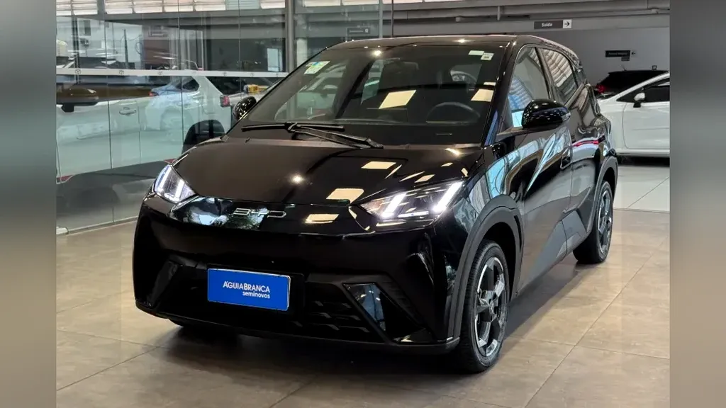 Foto de um byd dolphin mini