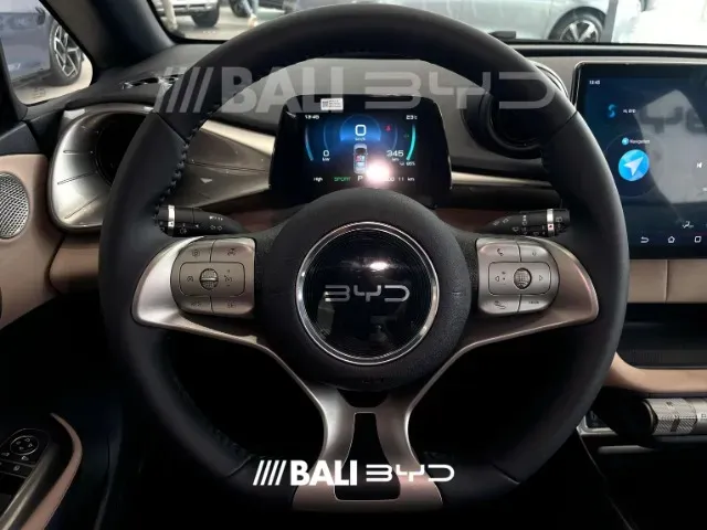 BYD Dolphin - Imagem 8