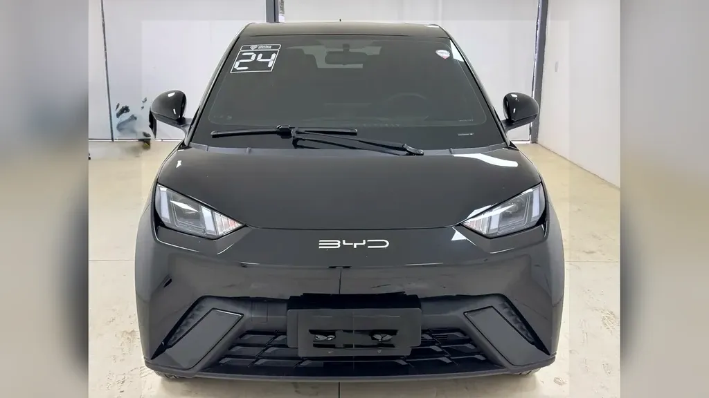 Foto de um byd dolphin