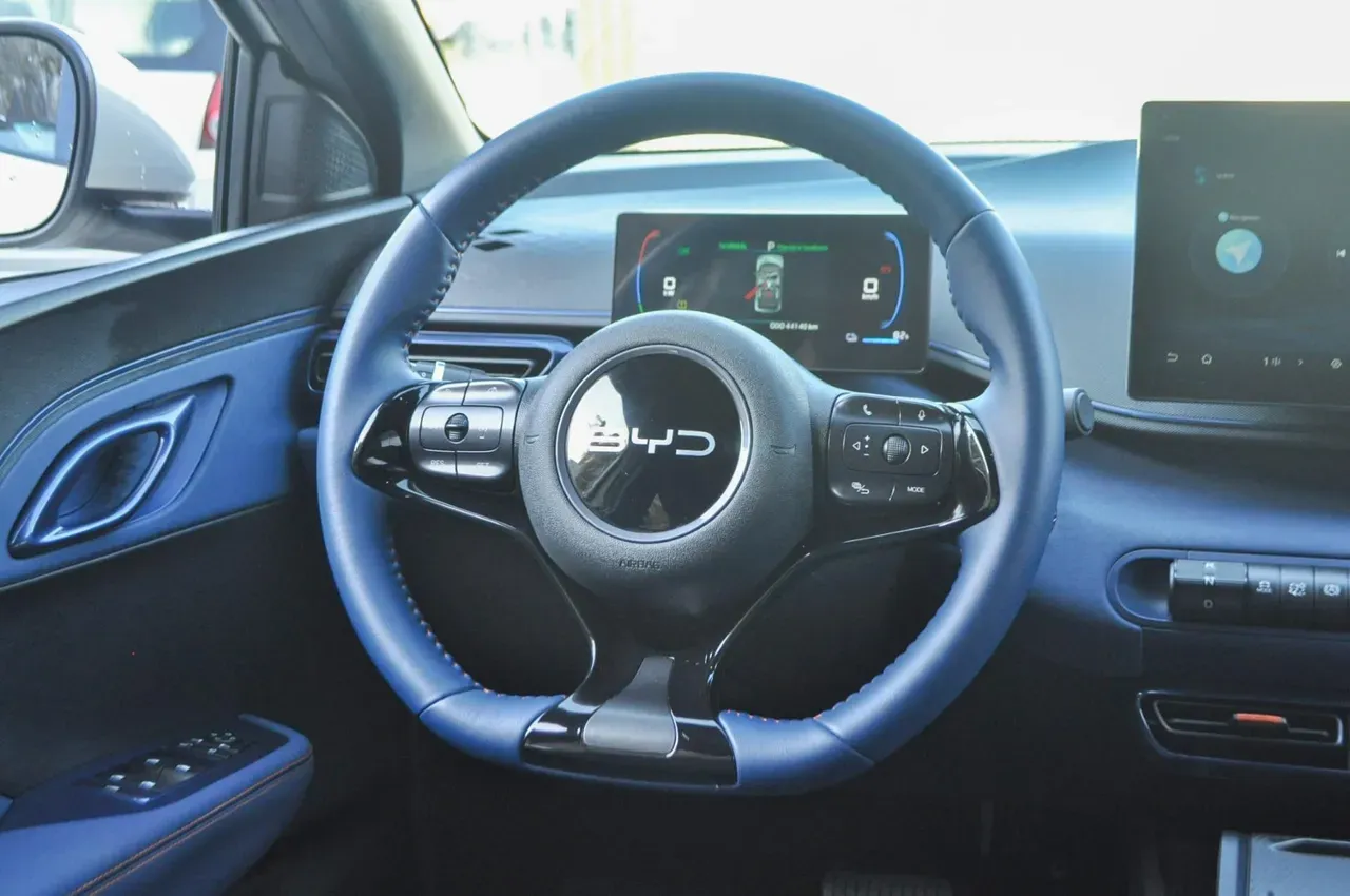 BYD Dolphin Mini - Imagem 17