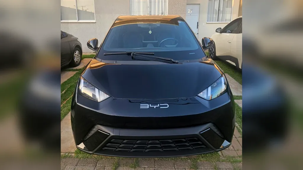 Foto de um byd dolphin mini