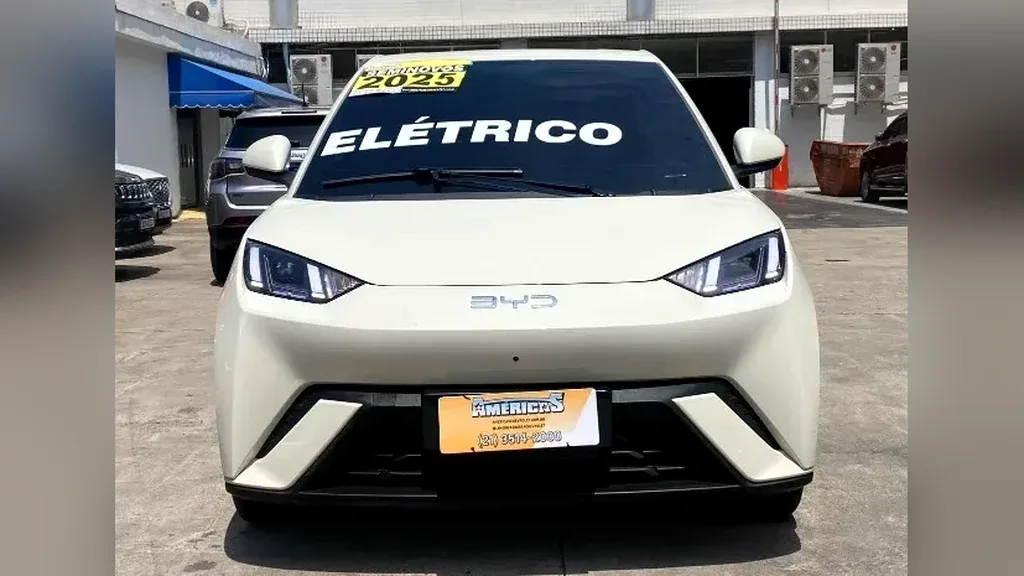 Foto de um byd dolphin mini