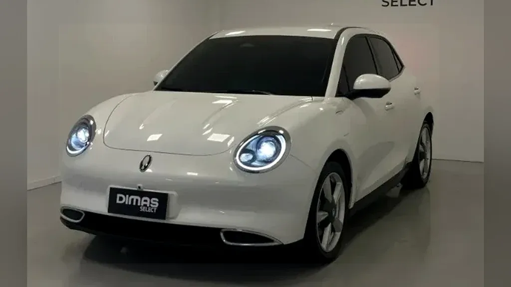 Foto de um gwm ora 03