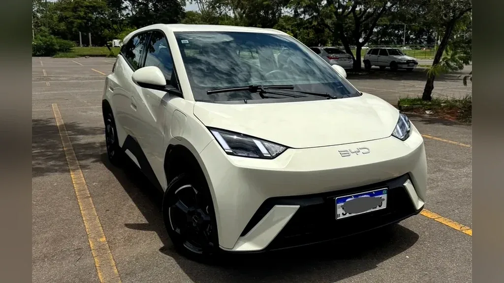 Foto de um byd dolphin mini