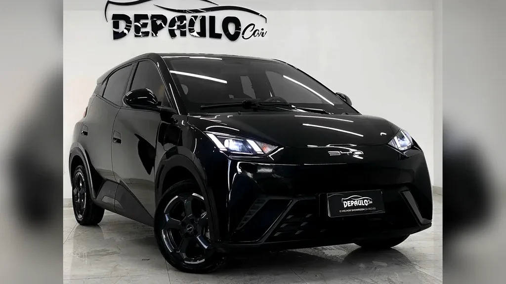 Foto de um byd dolphin mini