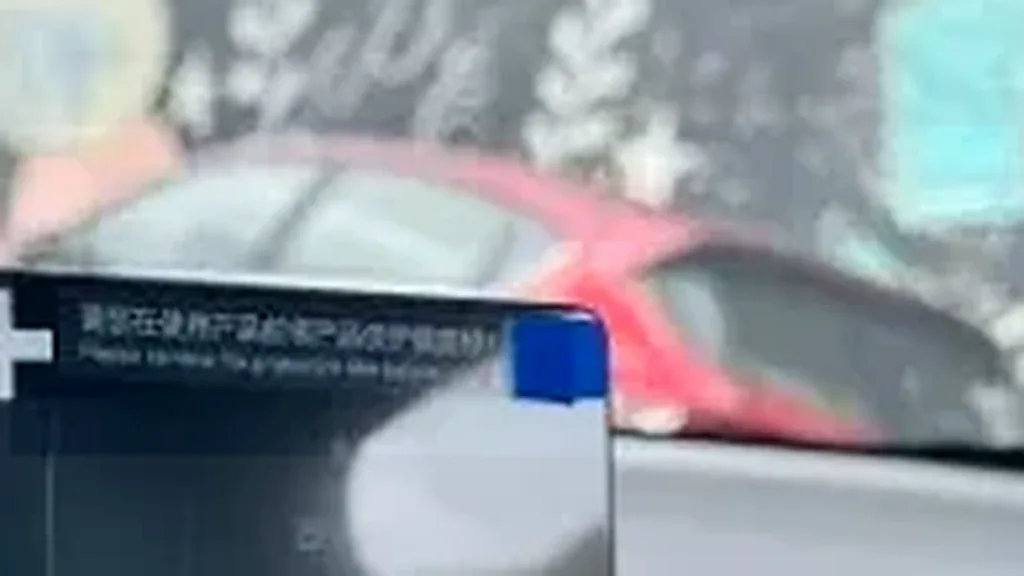 BYD Dolphin Mini - Imagem 15