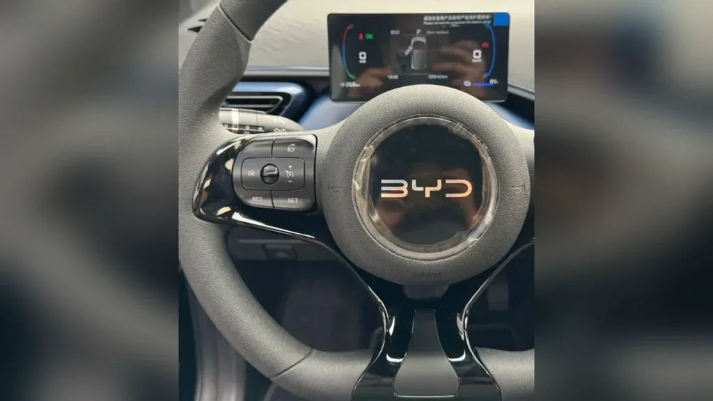 BYD Dolphin Mini - Imagem 17