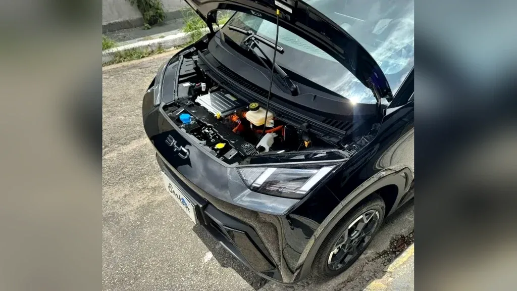 BYD Dolphin Mini - Imagem 20