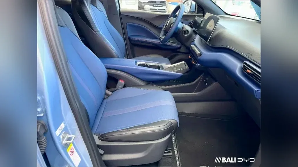 BYD Dolphin Mini - Imagem 8