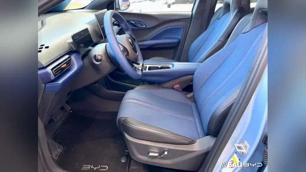 BYD Dolphin Mini - Imagem 9