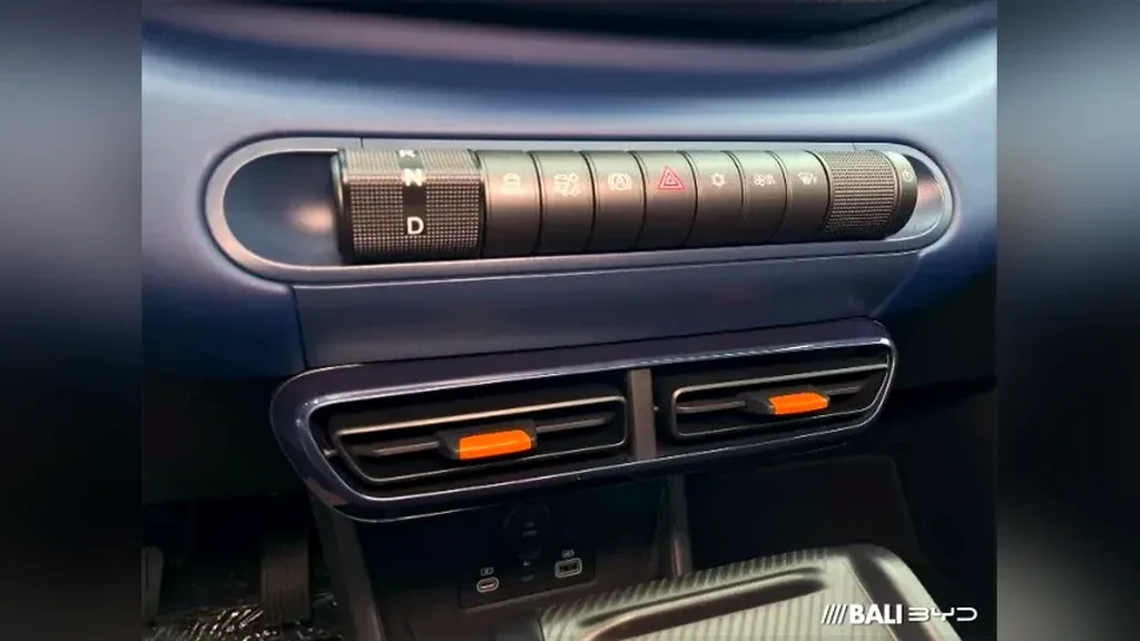 BYD Dolphin Mini - Imagem 11