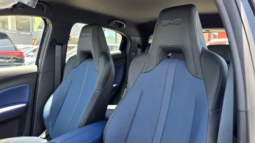 BYD Dolphin Mini - Imagem 15