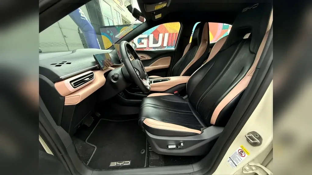 BYD Dolphin Mini - Imagem 10