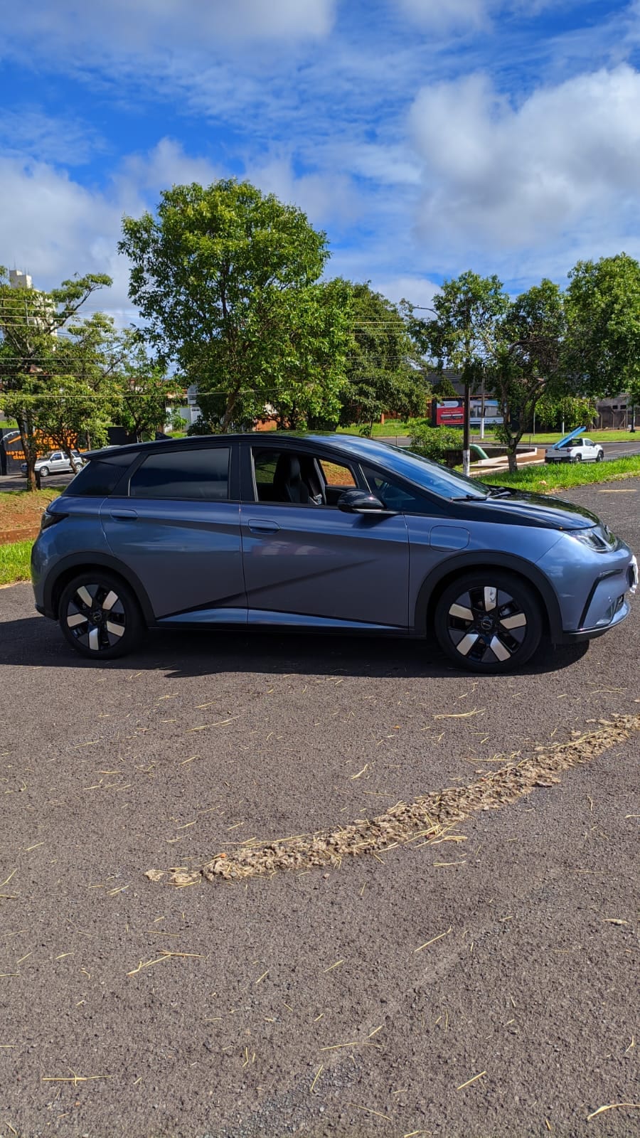 BYD Dolphin Plus - Imagem 13