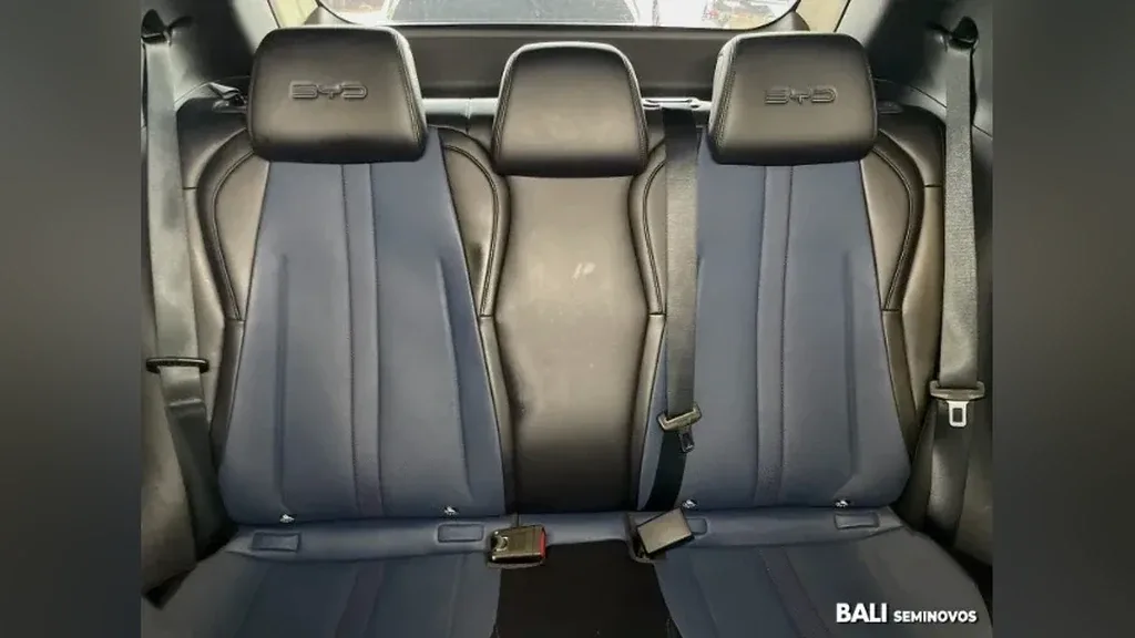 BYD Dolphin Mini - Imagem 3