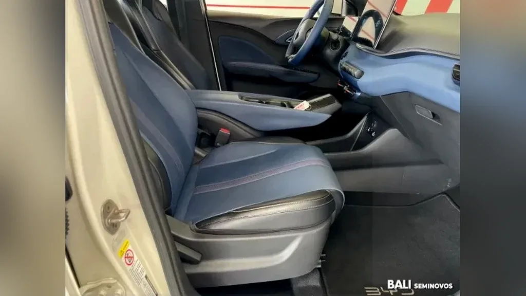 BYD Dolphin Mini - Imagem 14