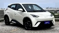 BYD Dolphin Mini - Miniatura 1